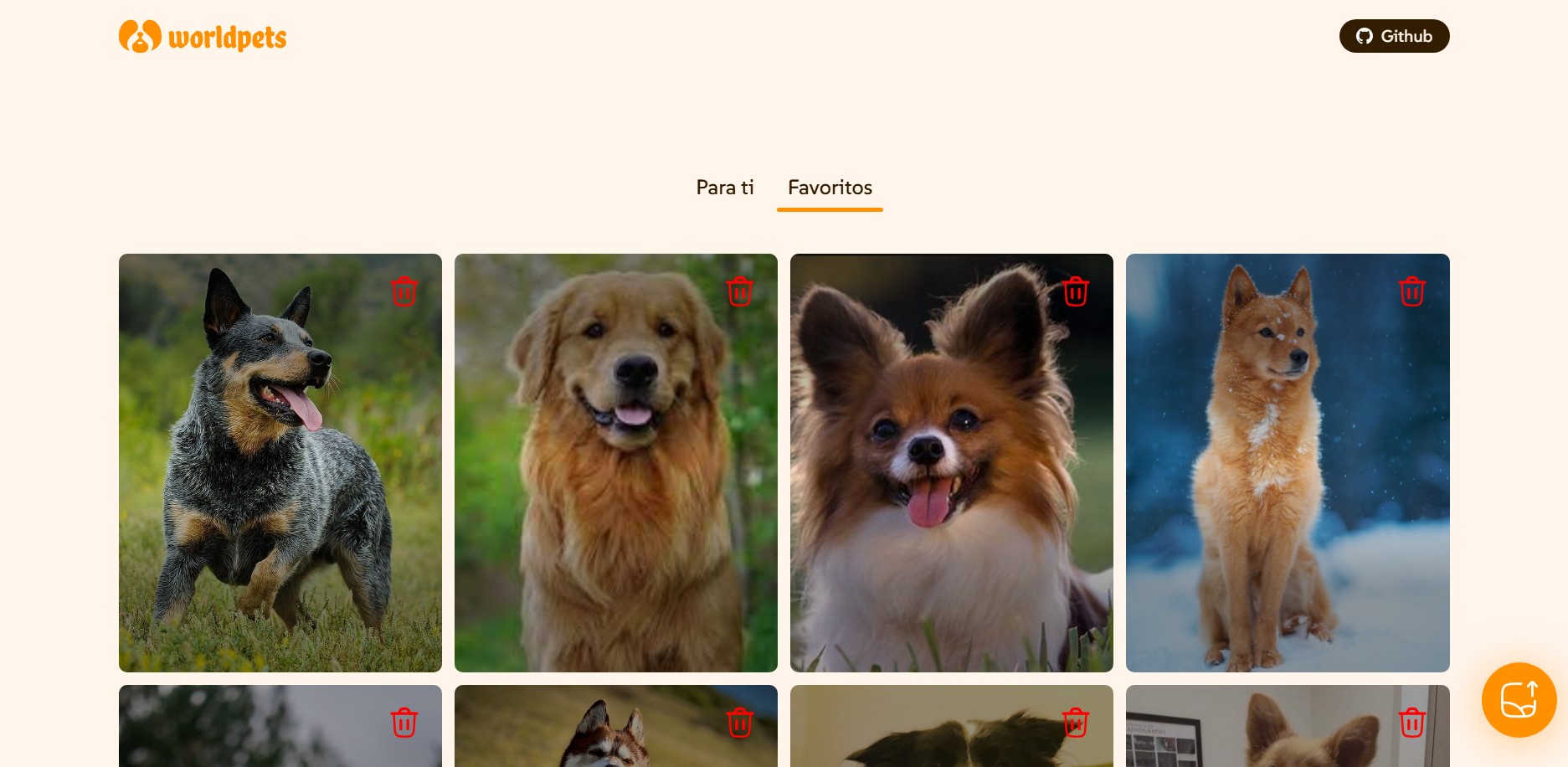 World Pets